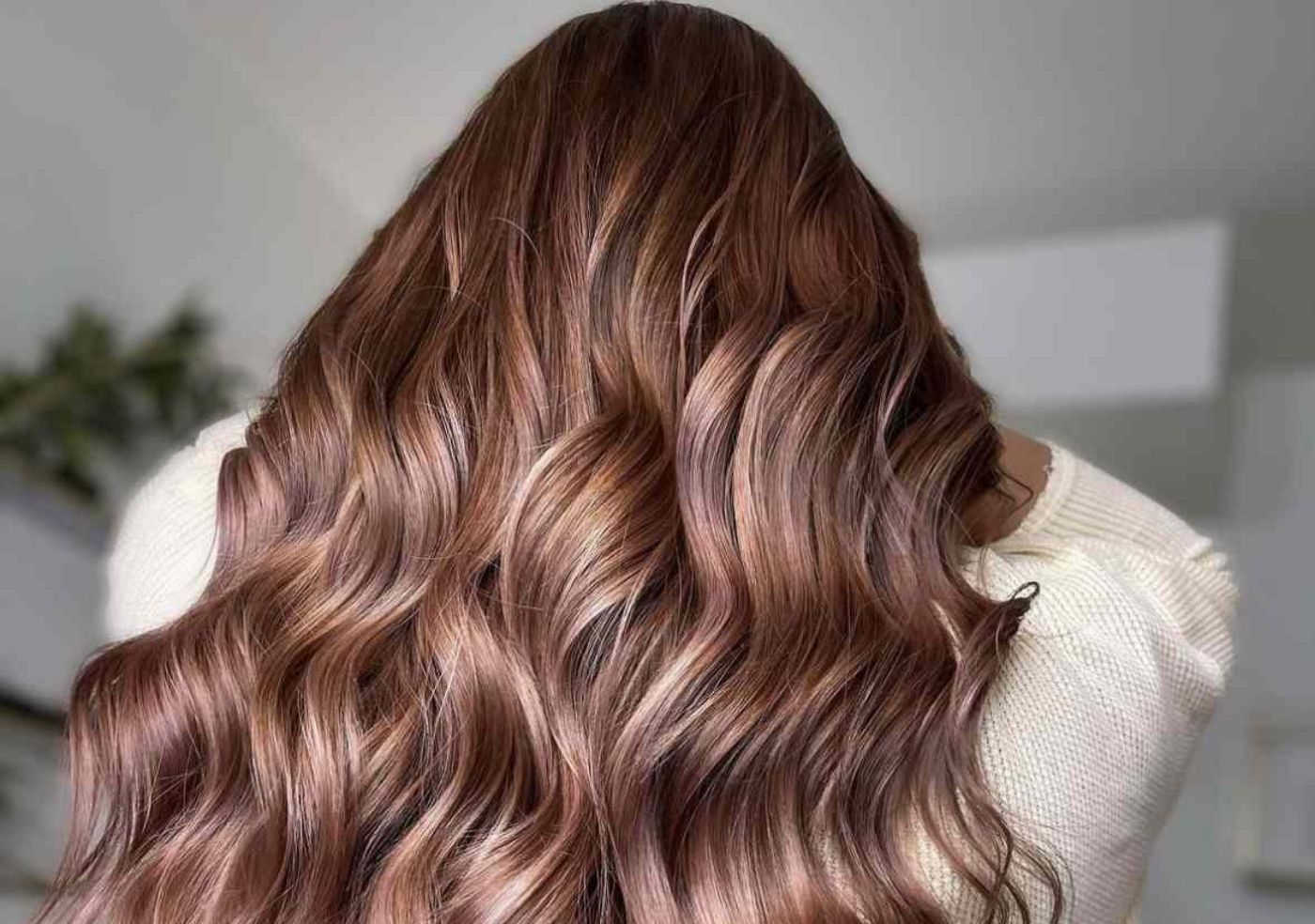 Blog-10-Inside-Image