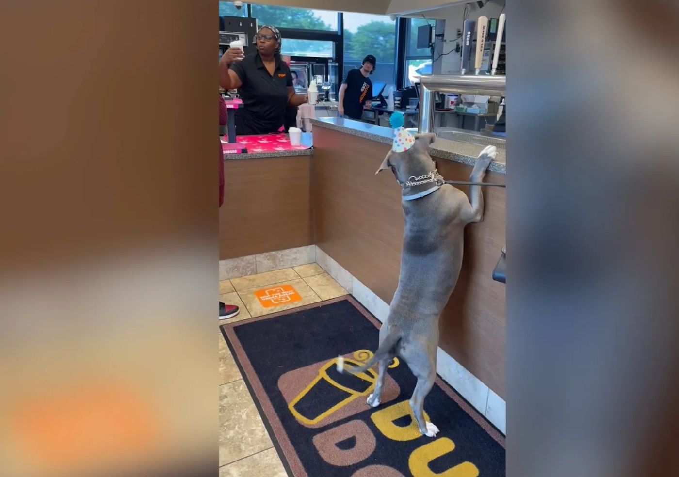 Donut shop has a perfect gift for hungry birthday pup