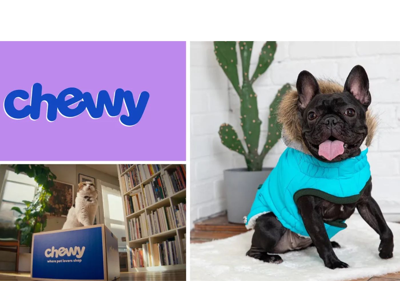 Shopping for pets? New Chewy customers get a $20 eGift card with orders of $49