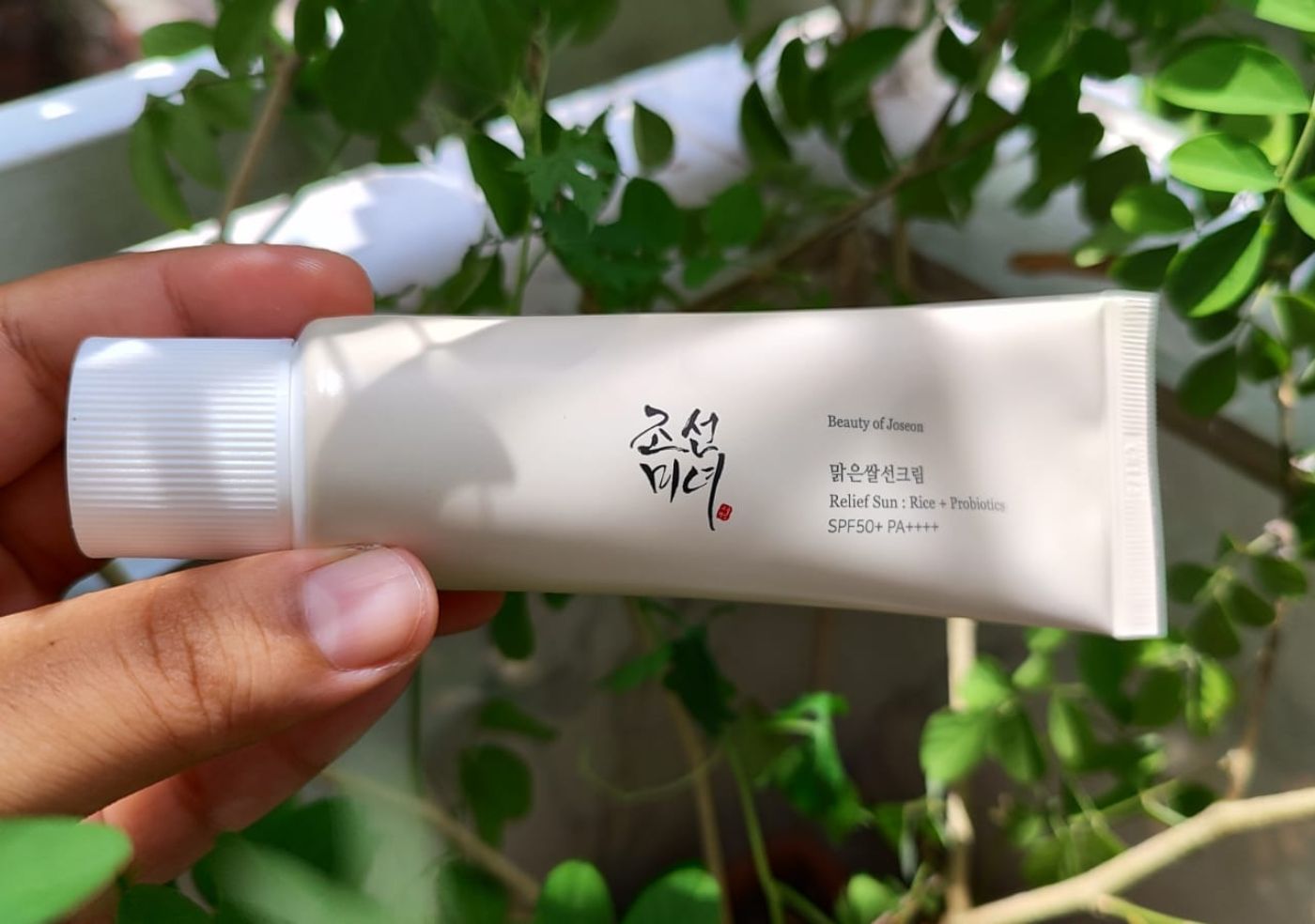 Blog-21-Inside-Image