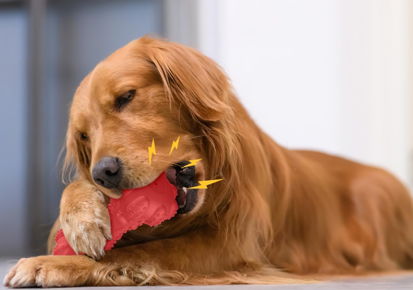 Blog 24 - Inside Image