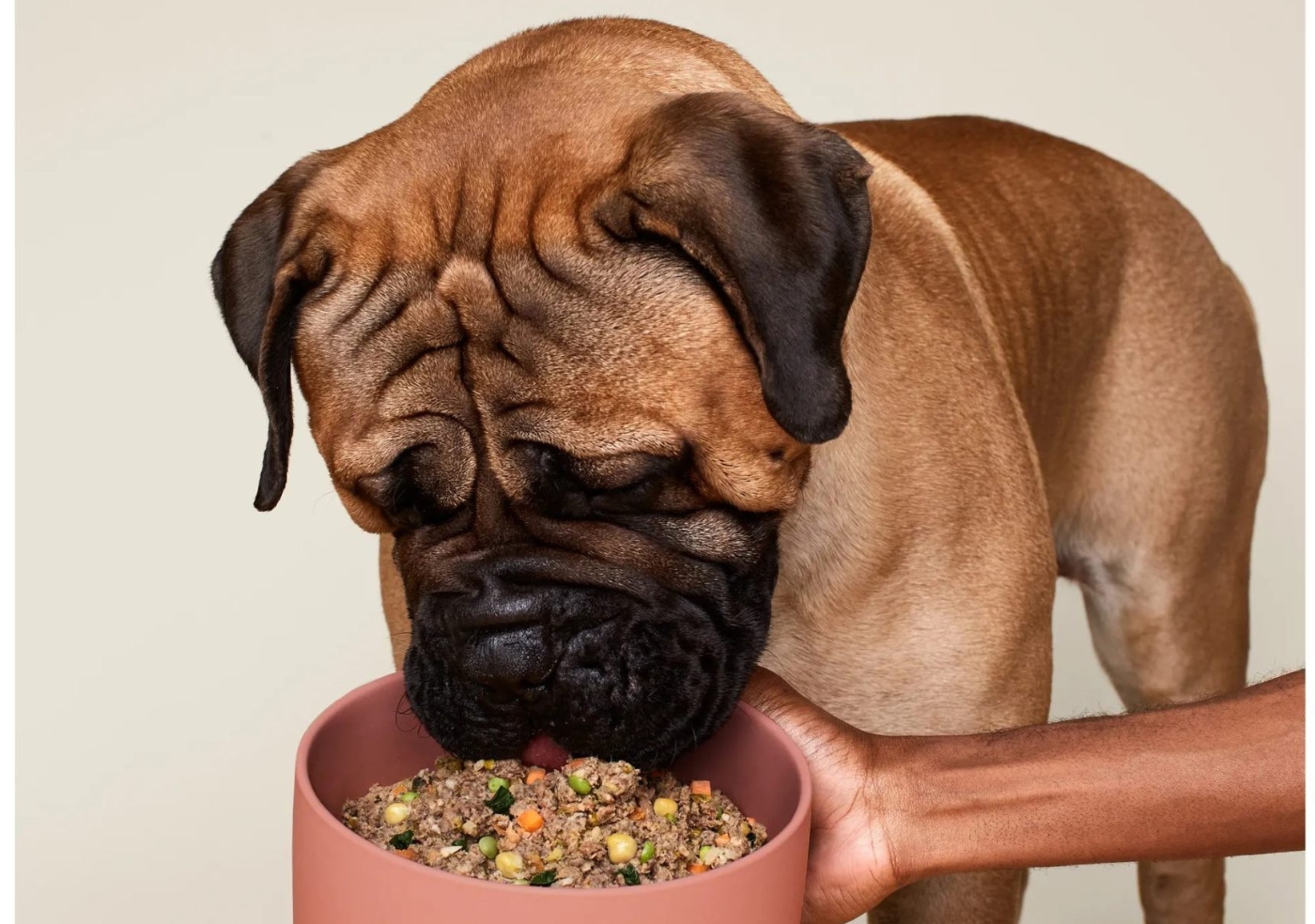 Blog-27-Inside-Image