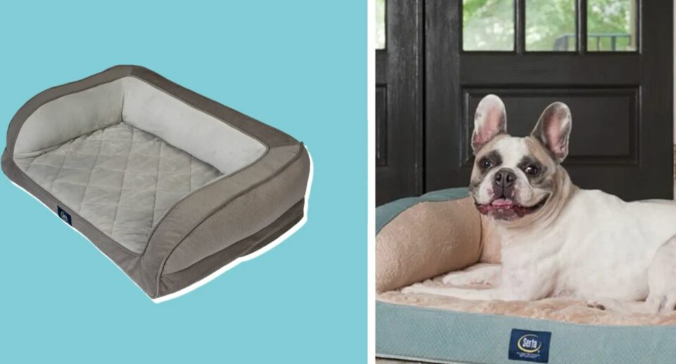 Serta Dog Bed $100 Off at Wayfair’s Cyber Monday Sale