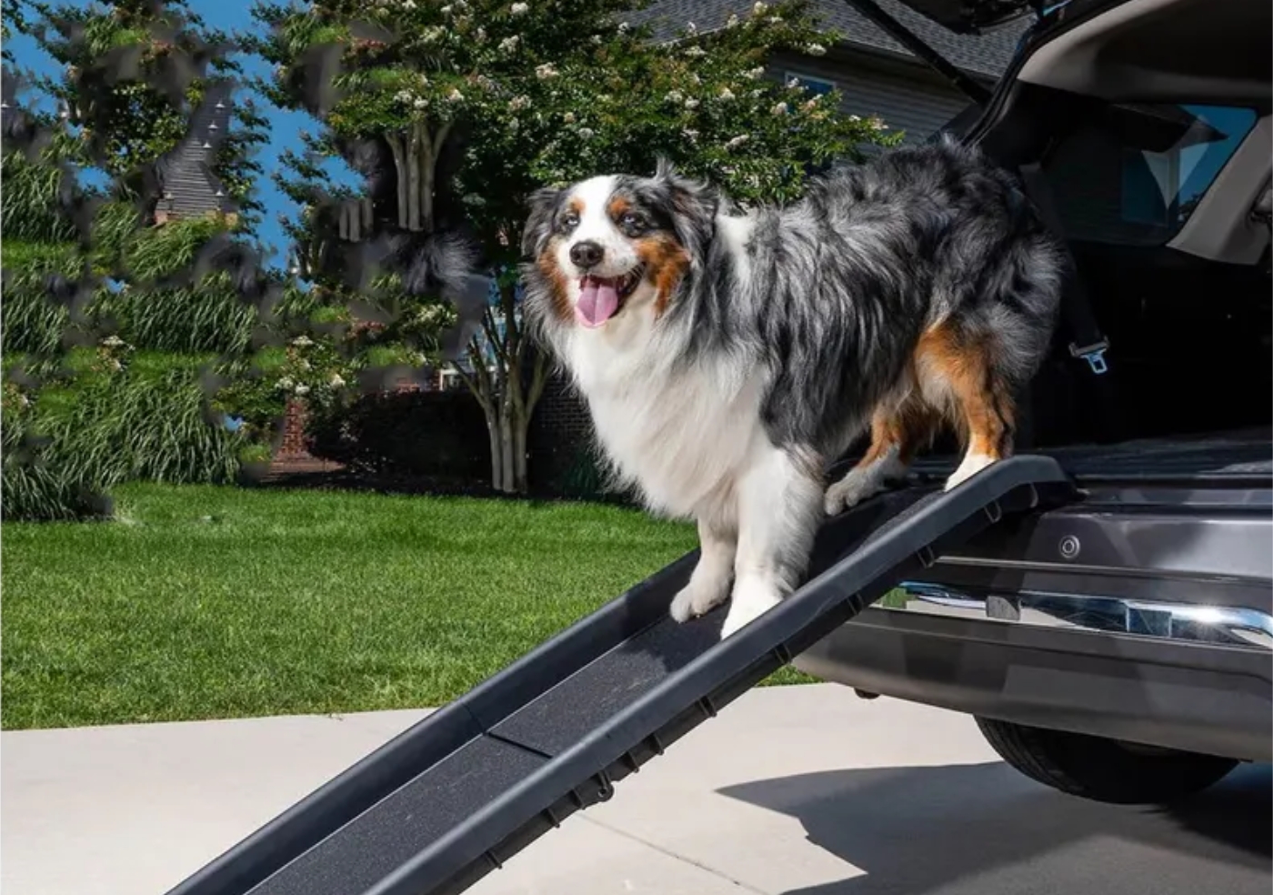 Blog-38-Inside-Image