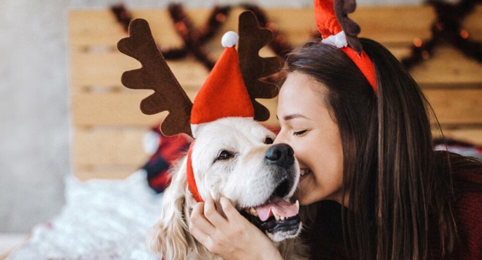 Does your pet need a Santa hat? Shop the best holiday pet outfits at Chewy