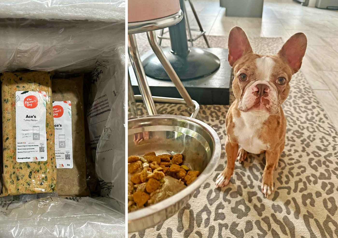 Get 50% off your first order of The Farmer’s Dog fresh dog food