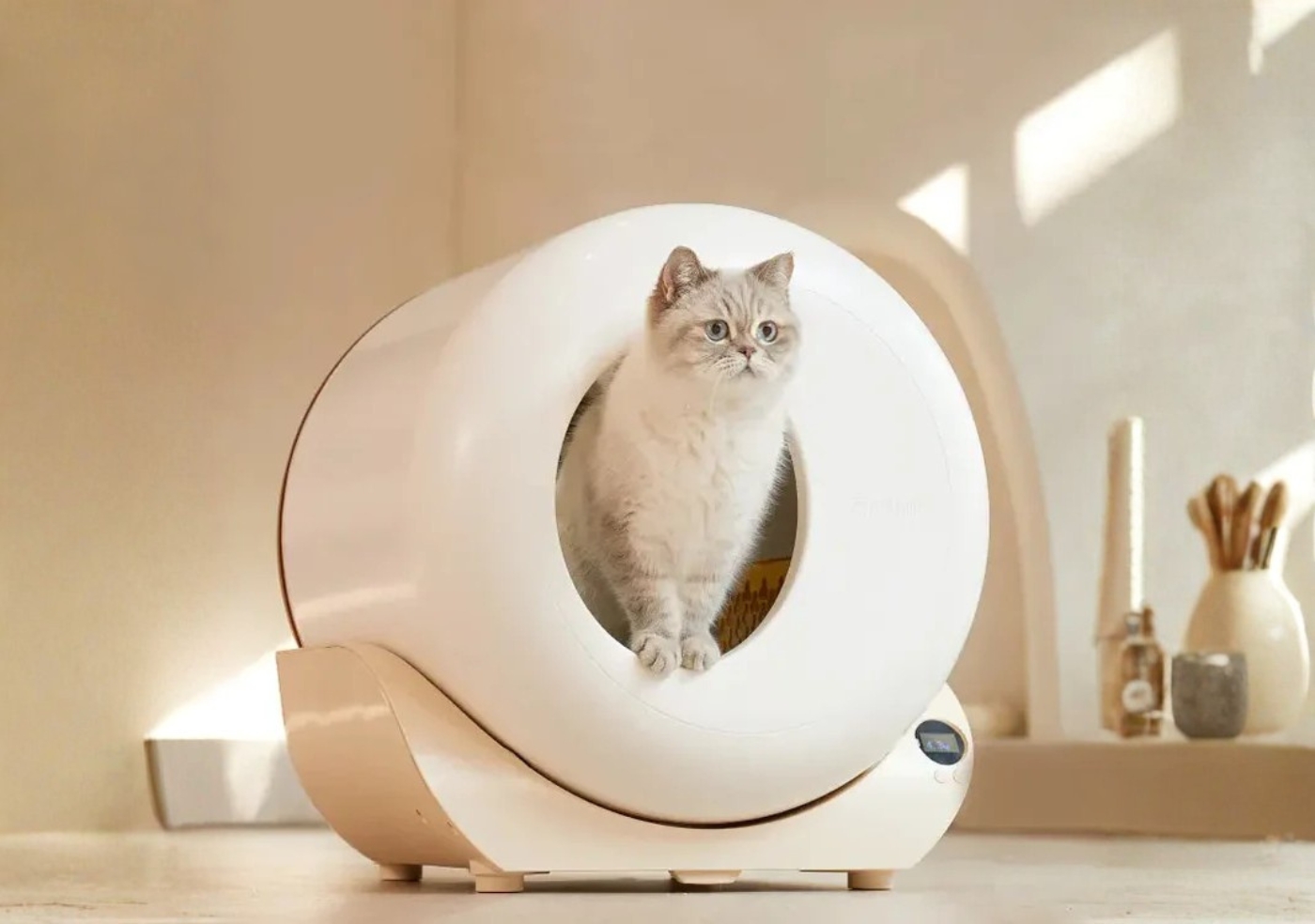 Is FurryTail the Best Budget Self-Cleaning Litter Box?