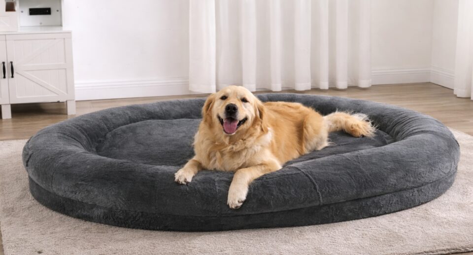 Why Buyers Love the Bedsure Human Dog Bed